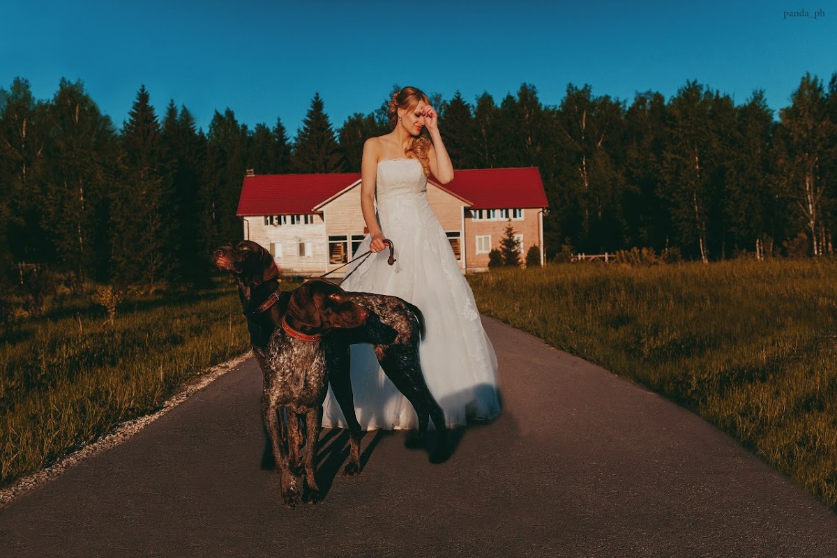 Свадебный отчёт