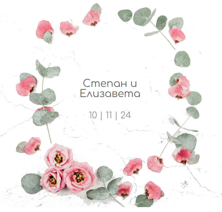 Портфолио