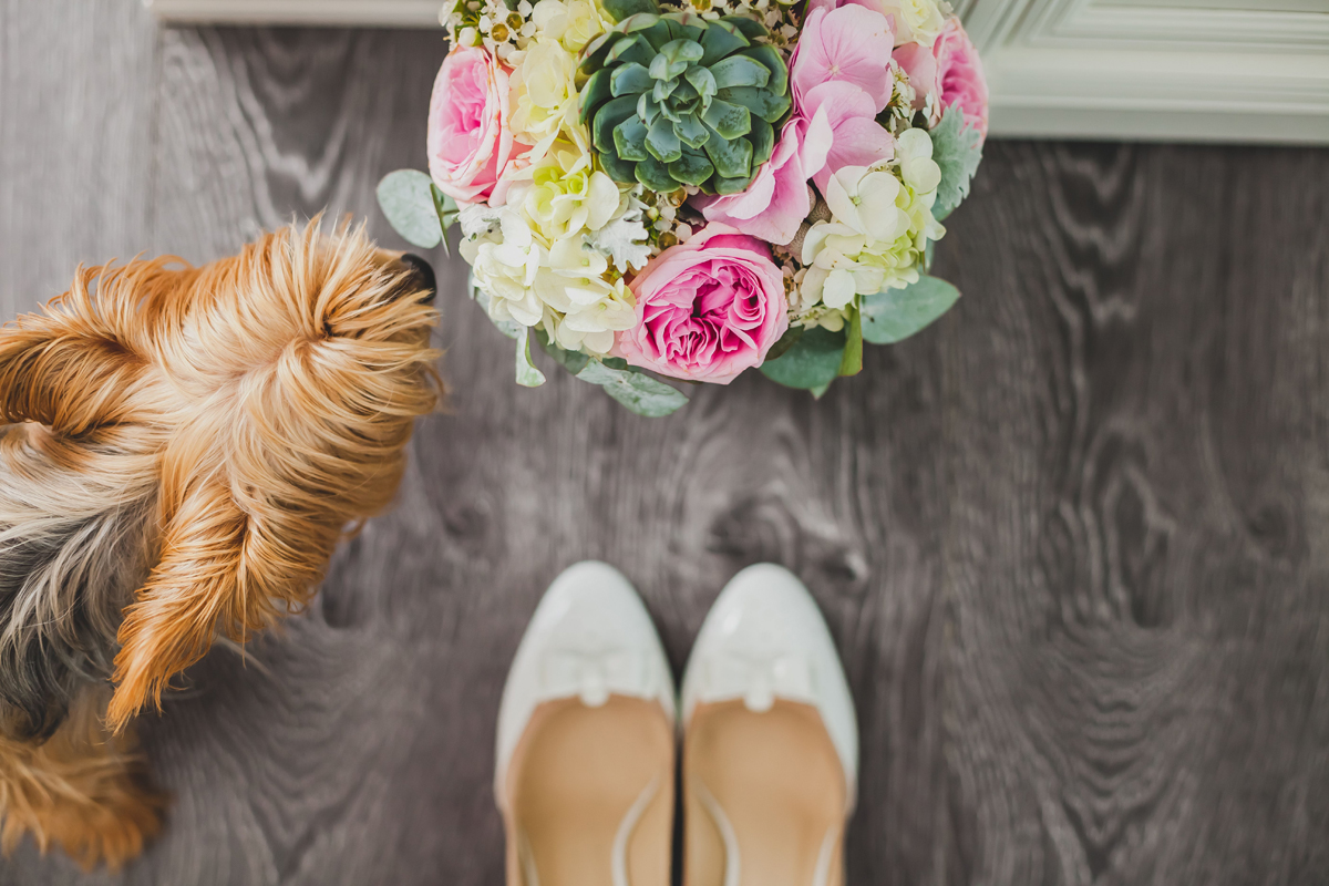 Wedding Ksenia & Nikolay
