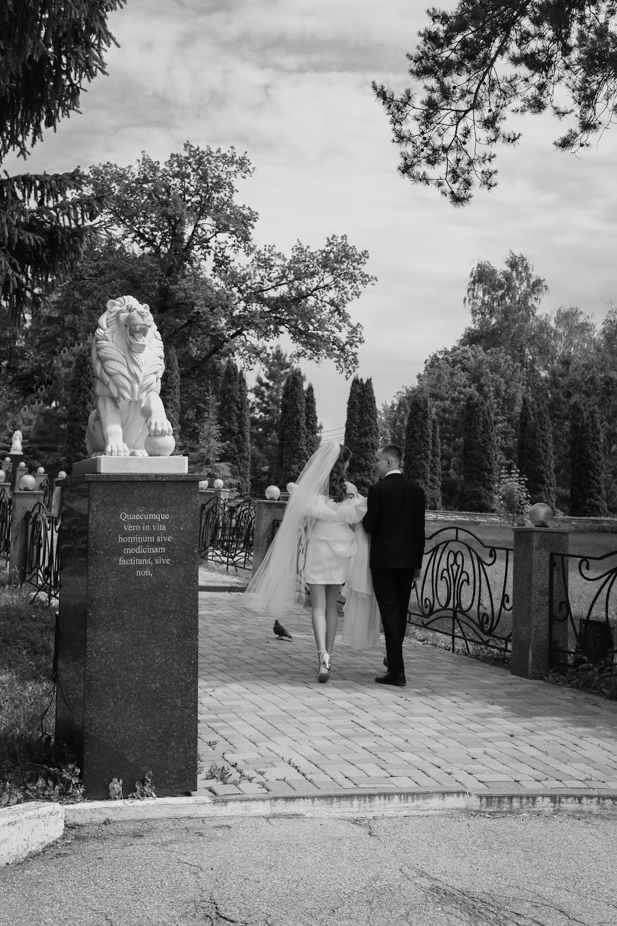 YOUNG AND BEAUTIFUL | Свадьба Елены и Артёма 31.05.2025