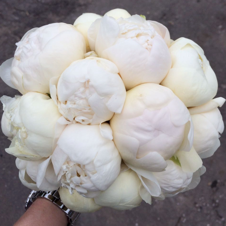Gloryfiori