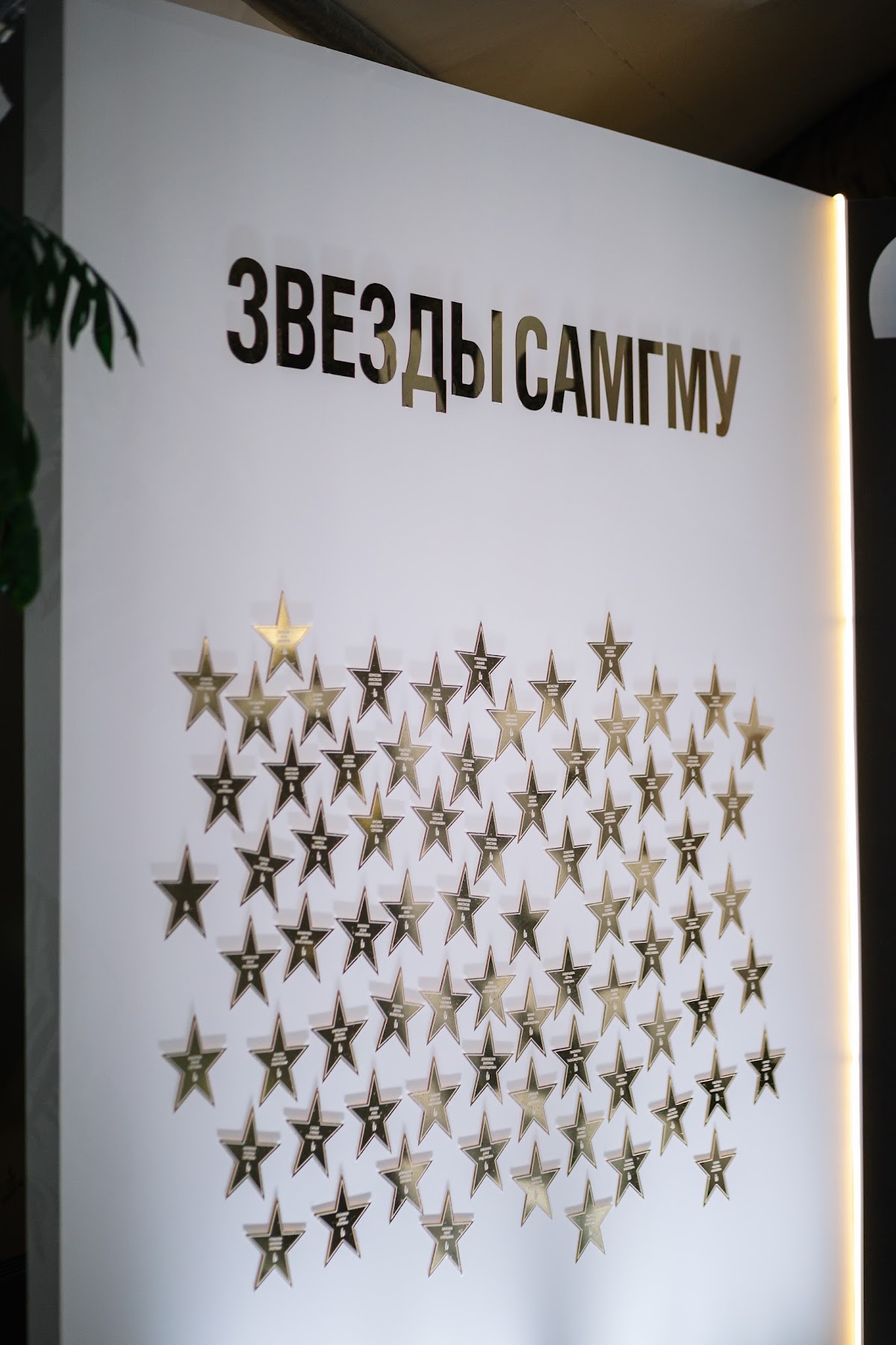 Портфолио: Выпускной
