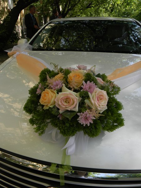 Fleur de vie