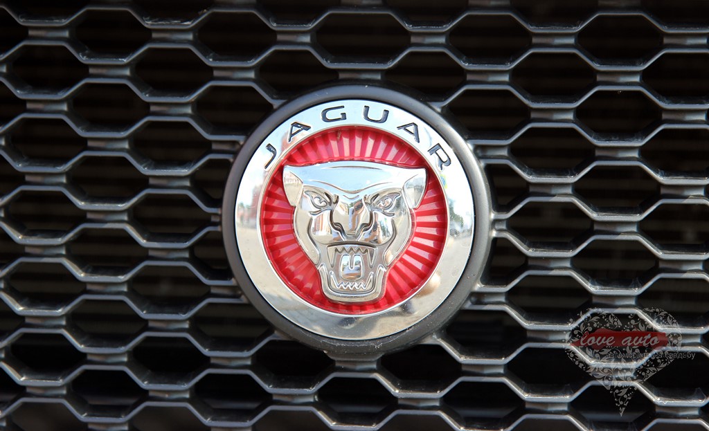 Jaguar XF NEW — кадр 5 из 5