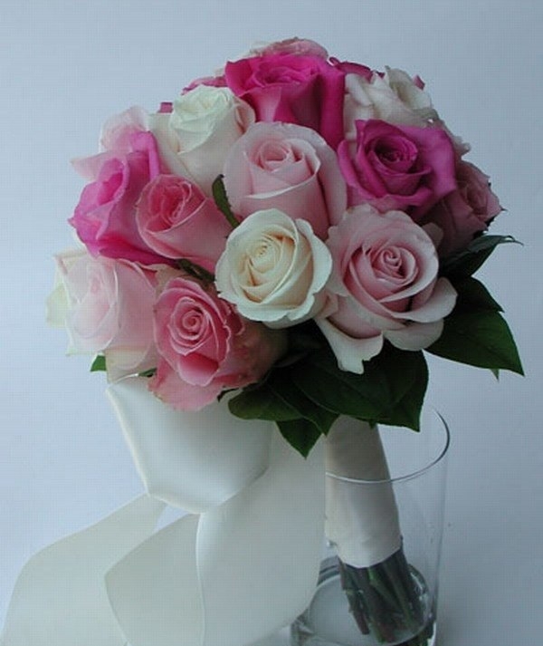 Anna flowers
