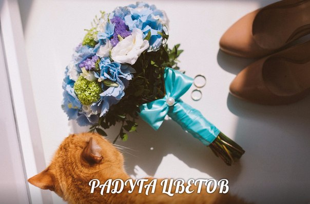 Радуга Цветов
