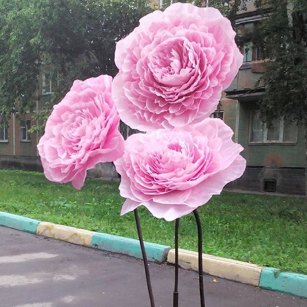 Кадр 70 из 124