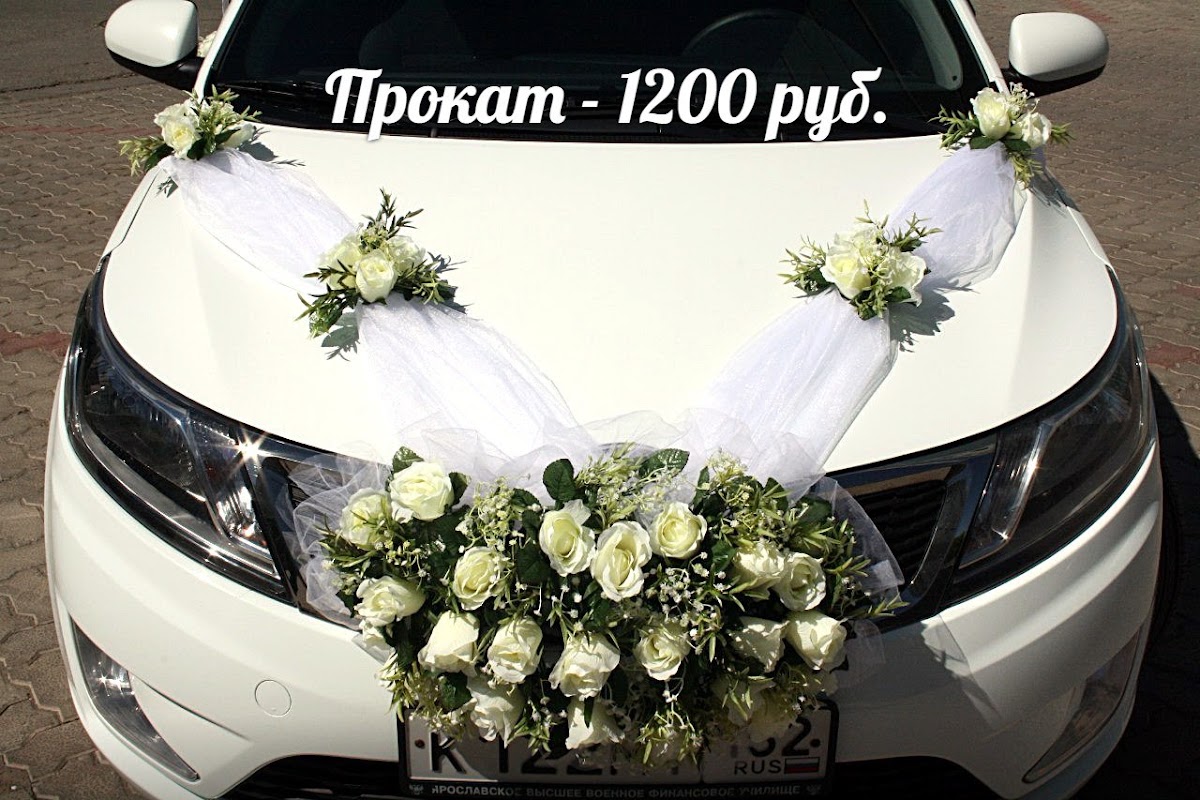 Портфолио