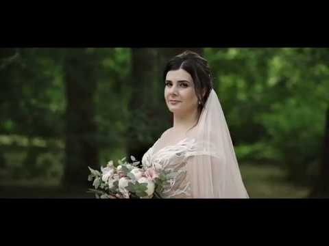 Портфолио: Свадьба