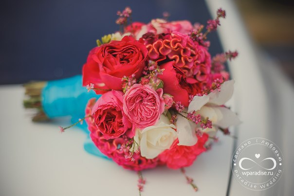 Paradise Wedding — кадр 4 из 20