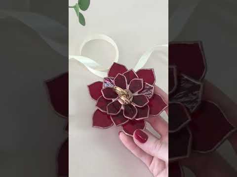 Суккуленты