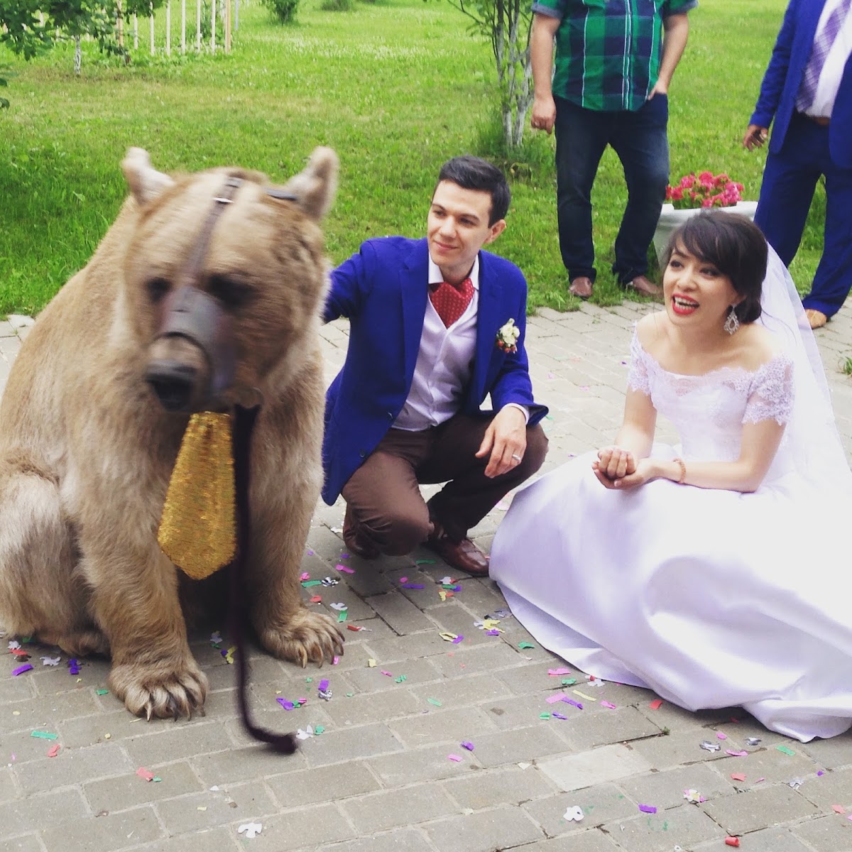 Свадьба и Медведь или зачем медведь на свадьбе )))