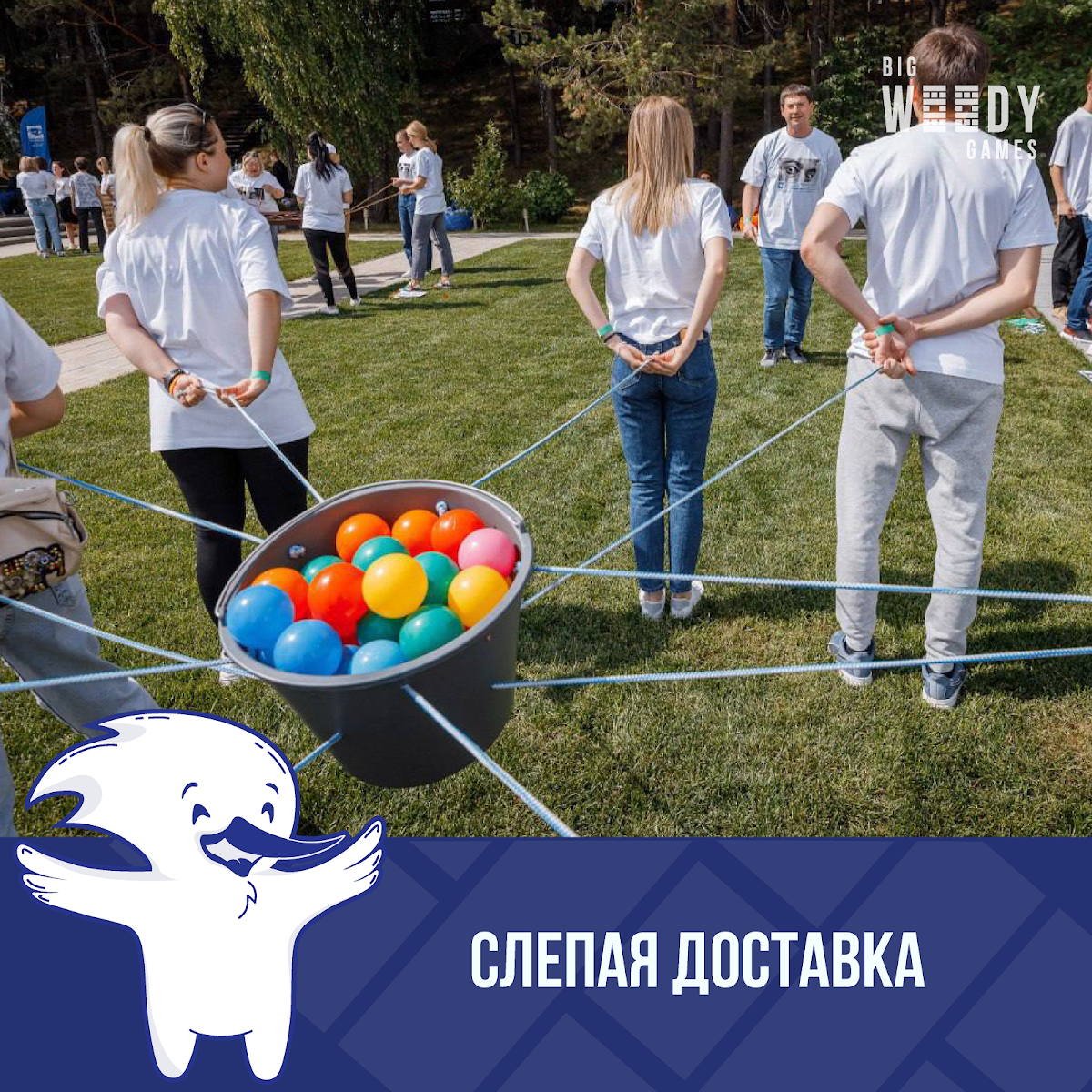 Портфолио