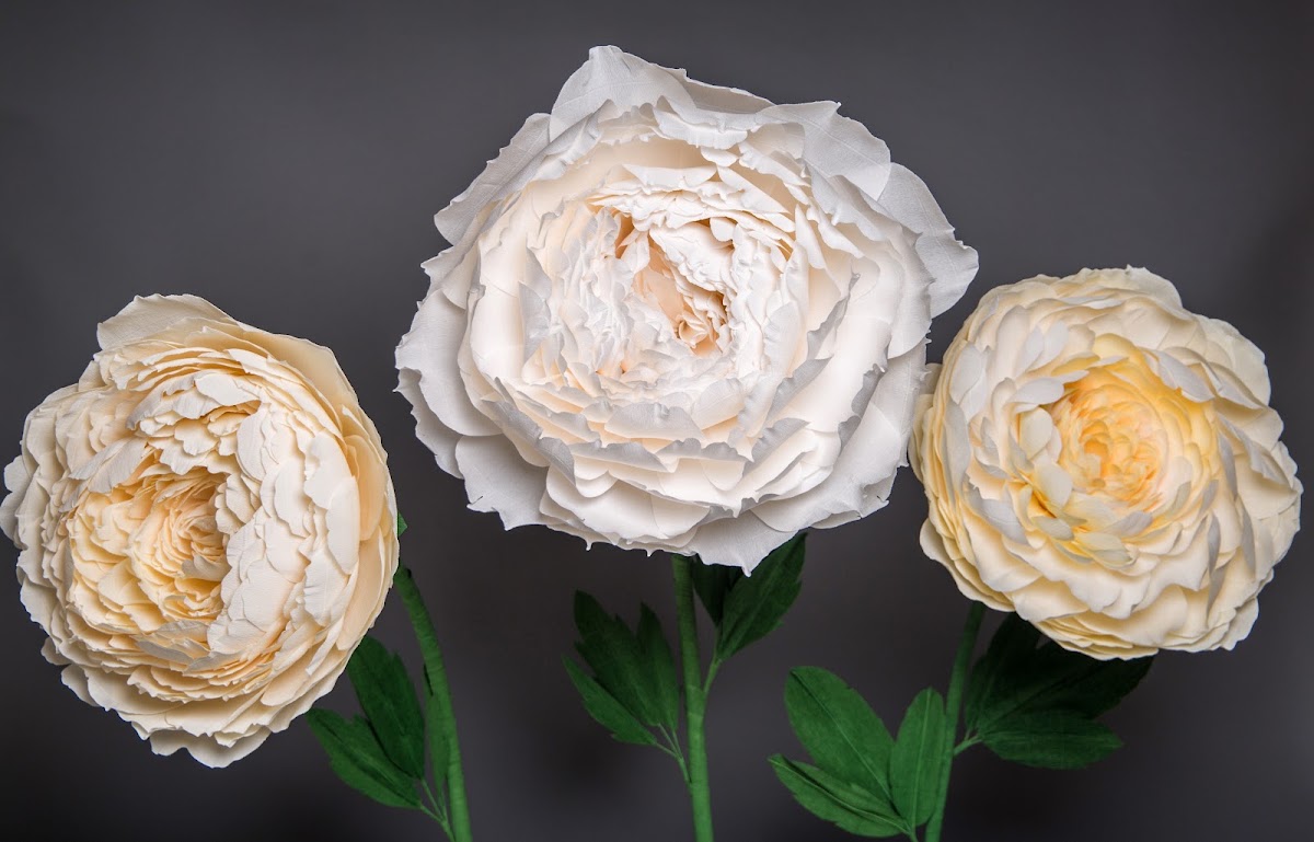Wonder Flower — кадр 2 из 19