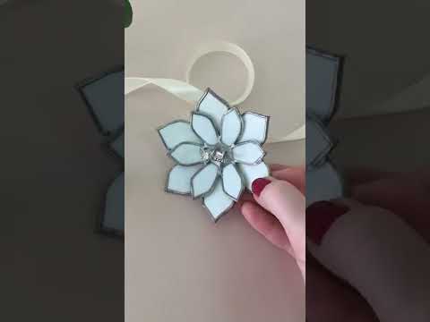 Суккуленты