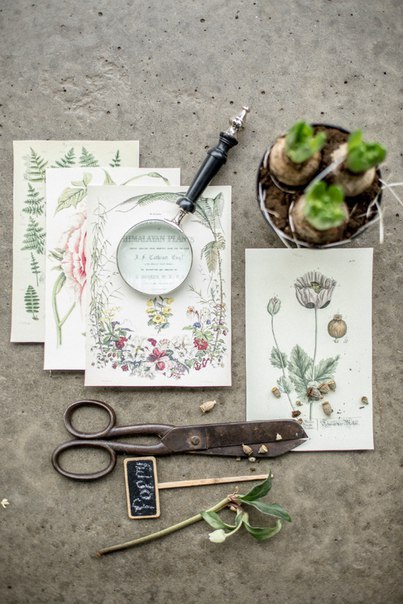 Garden Bloom Studio