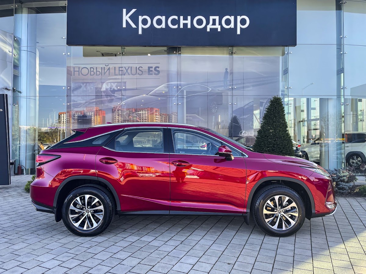 Портфолио: Предметы