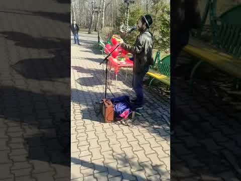 Портфолио: День рождения