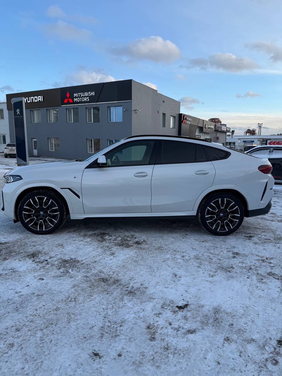 BMW X6