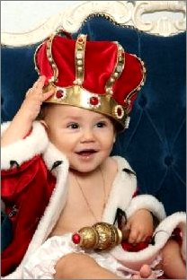 Портфолио