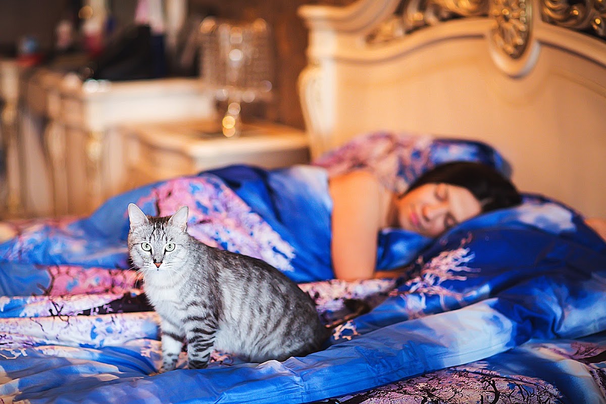 Анна Кромова