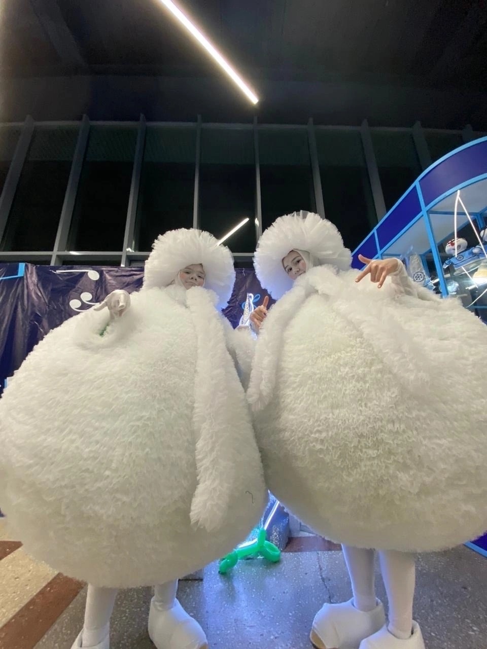 Мимы