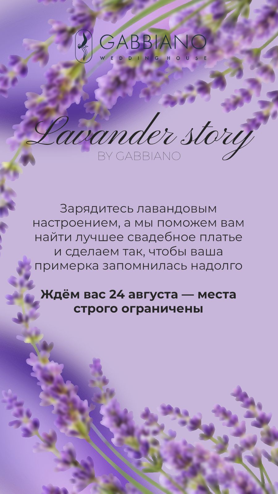 Лавандовая история