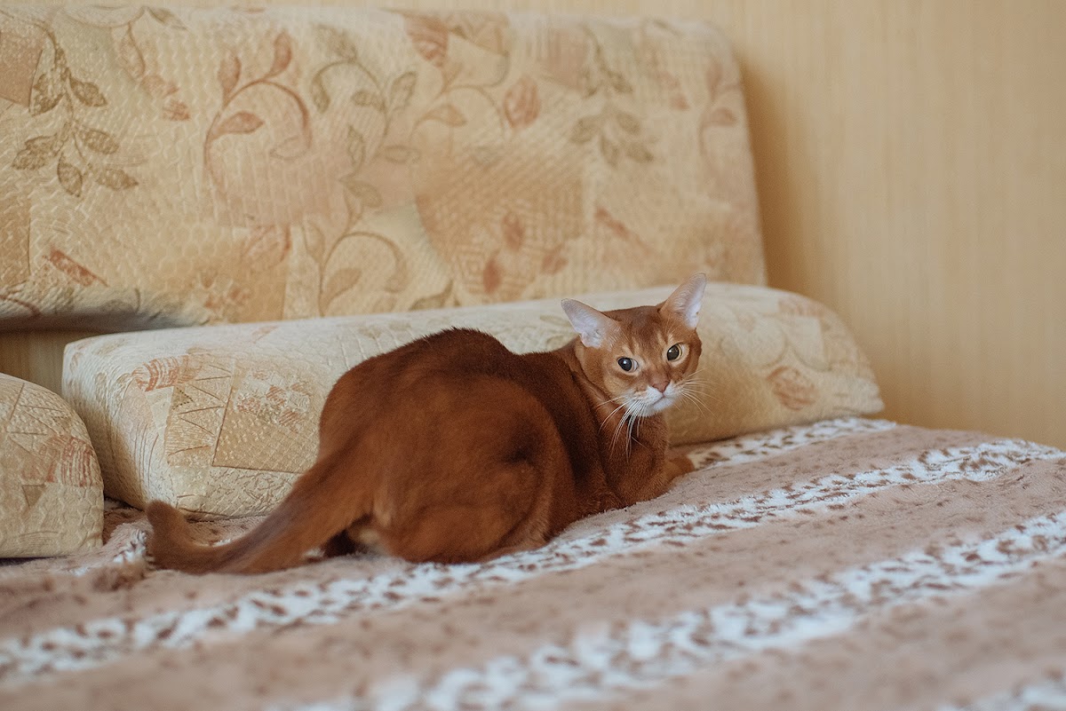 Свадебный отчёт