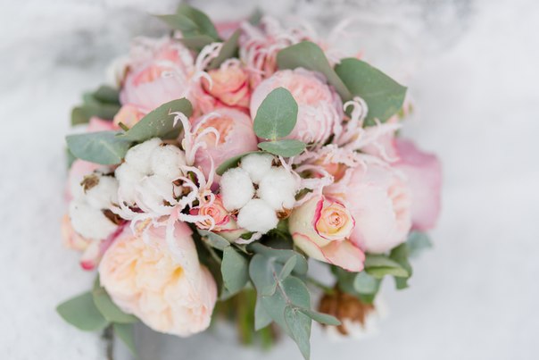 Портфолио