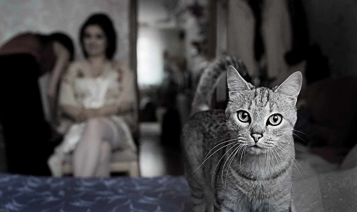 Фотографии