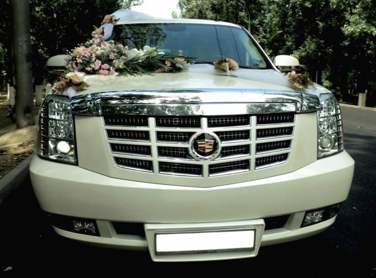 Escalade 7 mest Vip