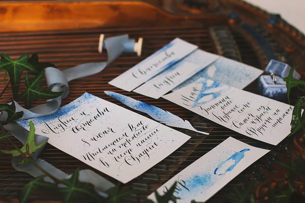 Bird Card