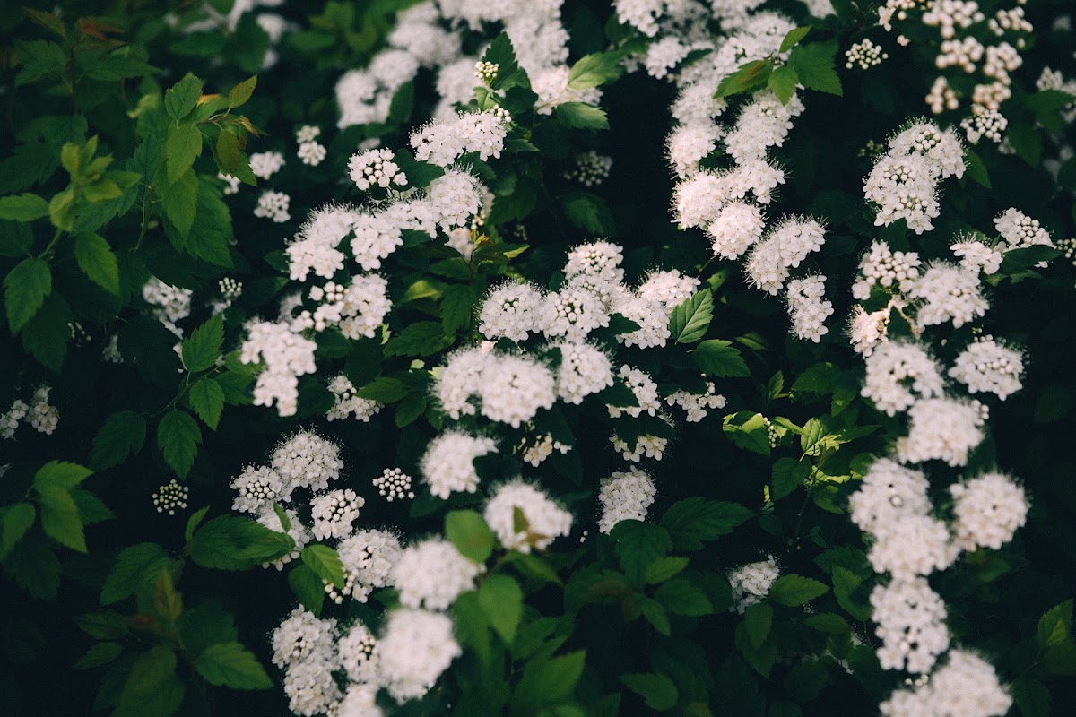 Кадр 51 из 92