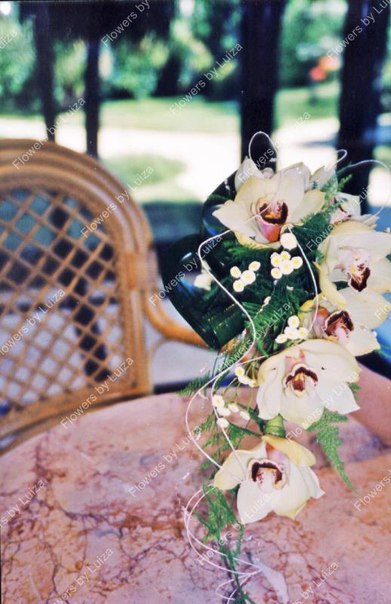 Flowers by Luiza