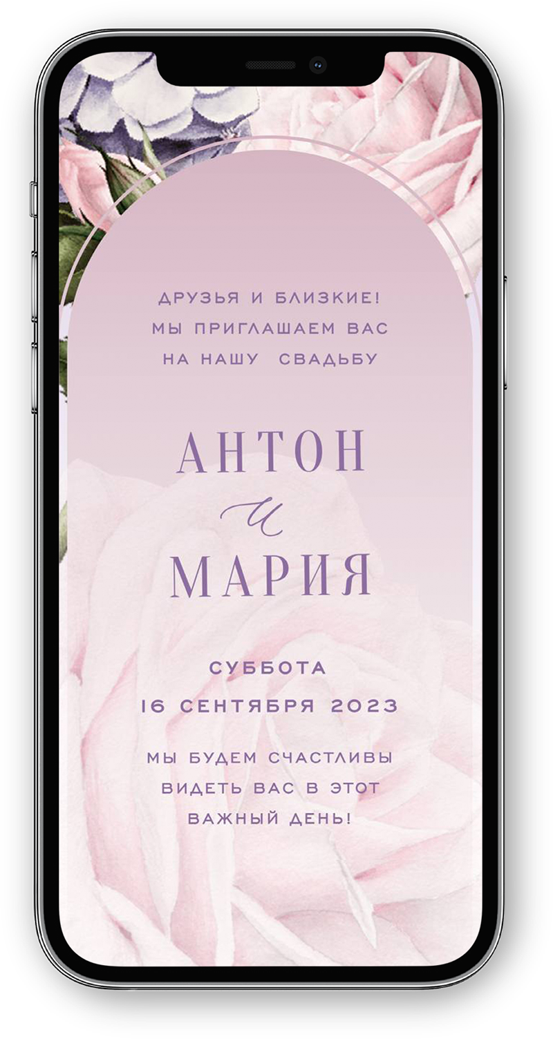 Портфолио