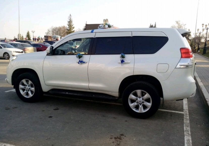 Land cruiser