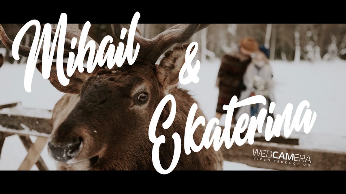 Clip
