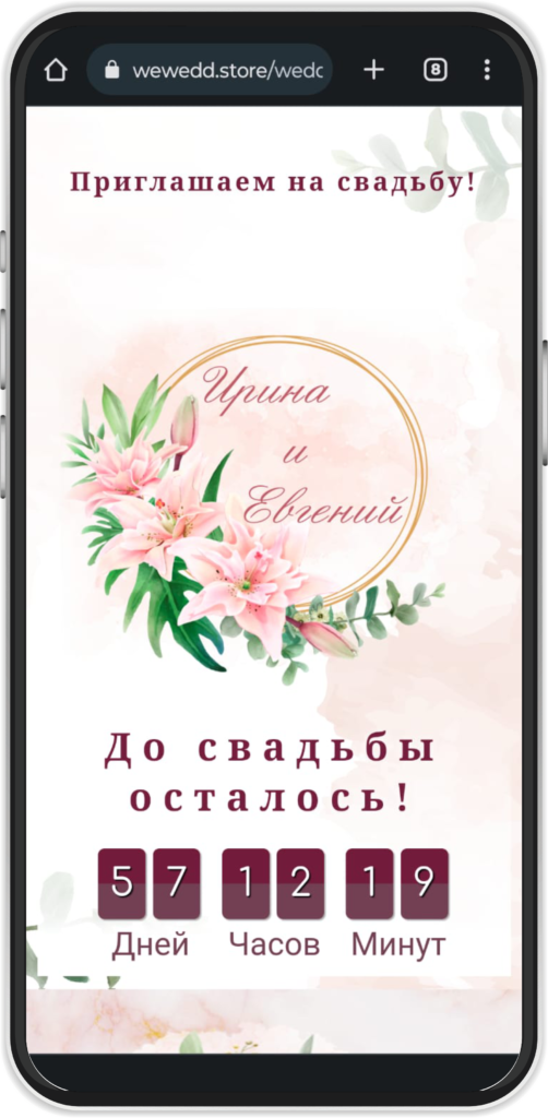 Портфолио
