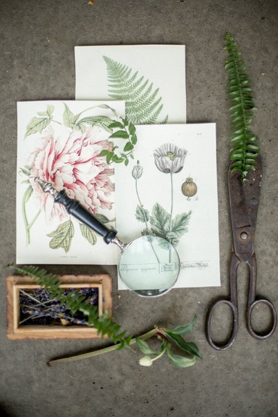 Garden Bloom Studio