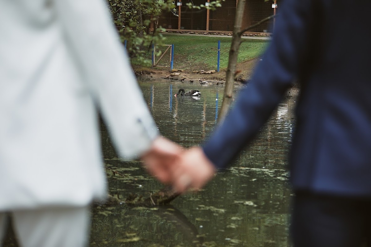Портфолио: Love story