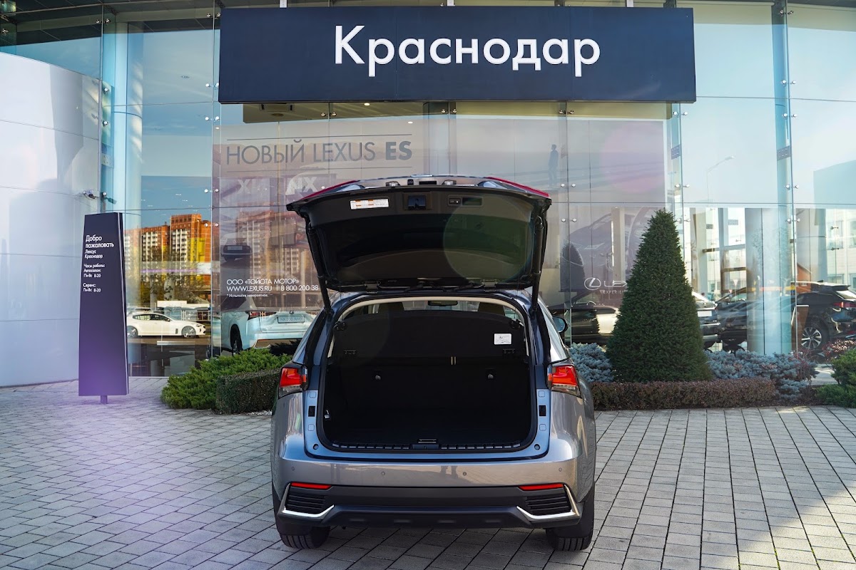 Портфолио: Предметы