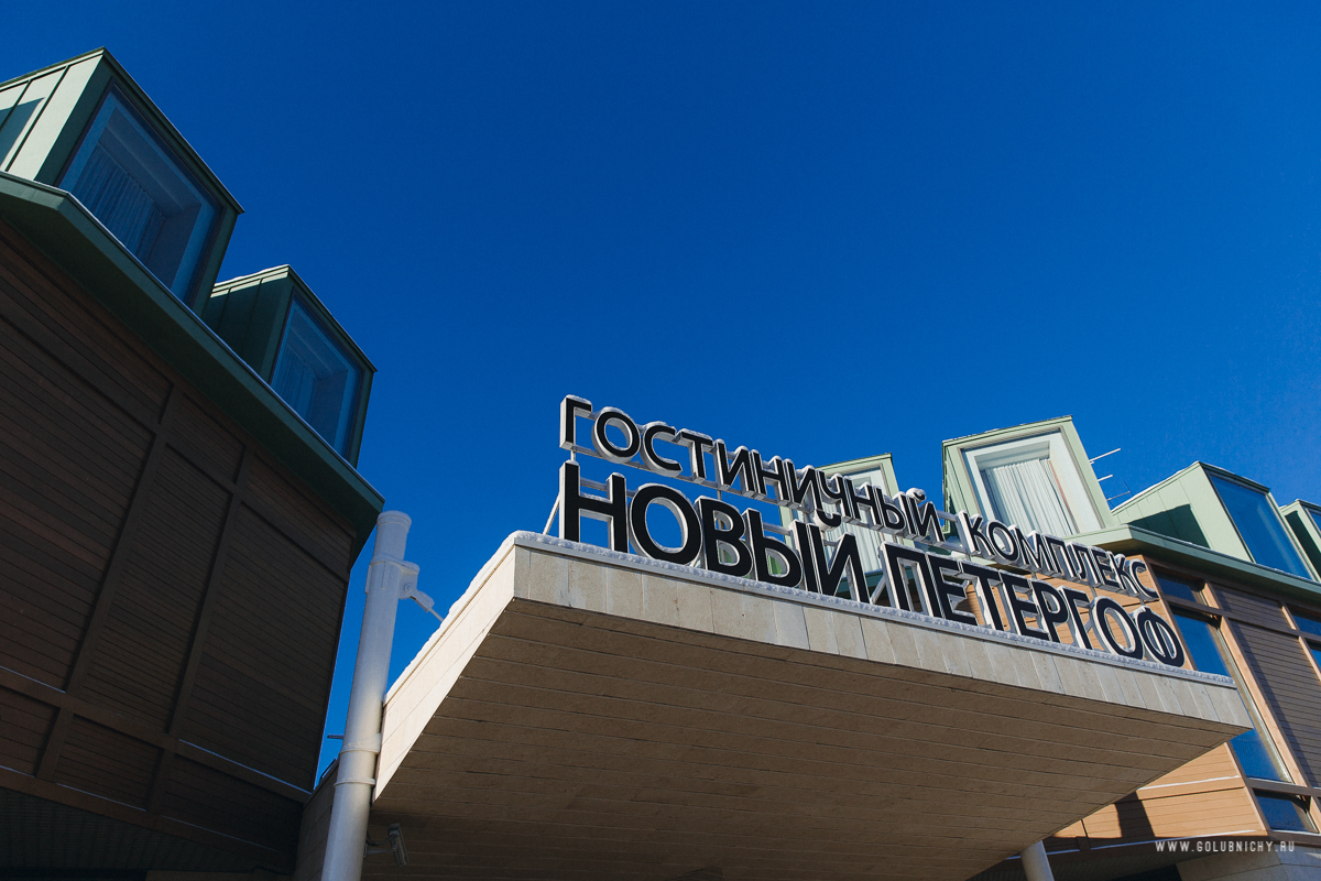 Свадебный отчёт