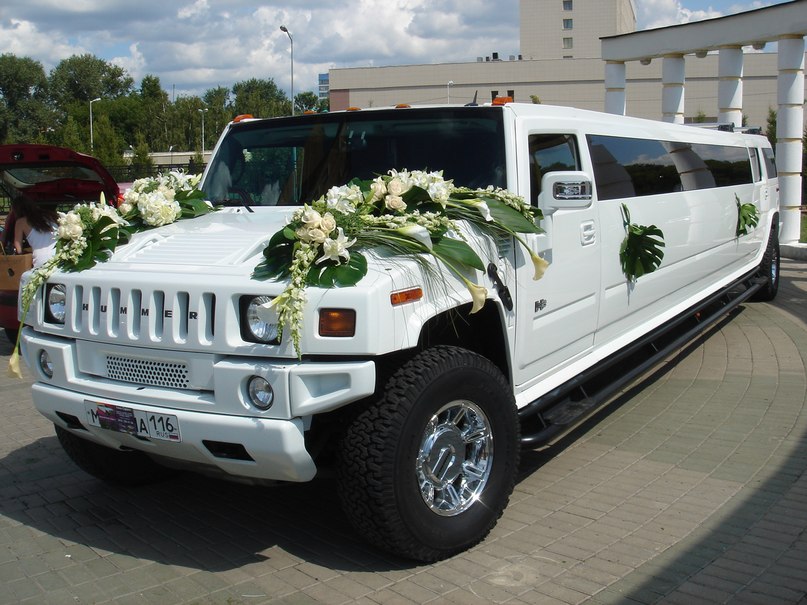 Елена Кузнецова