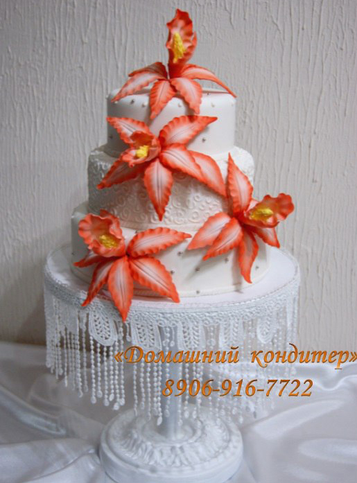 Портфолио