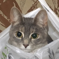 Аня Смирнова