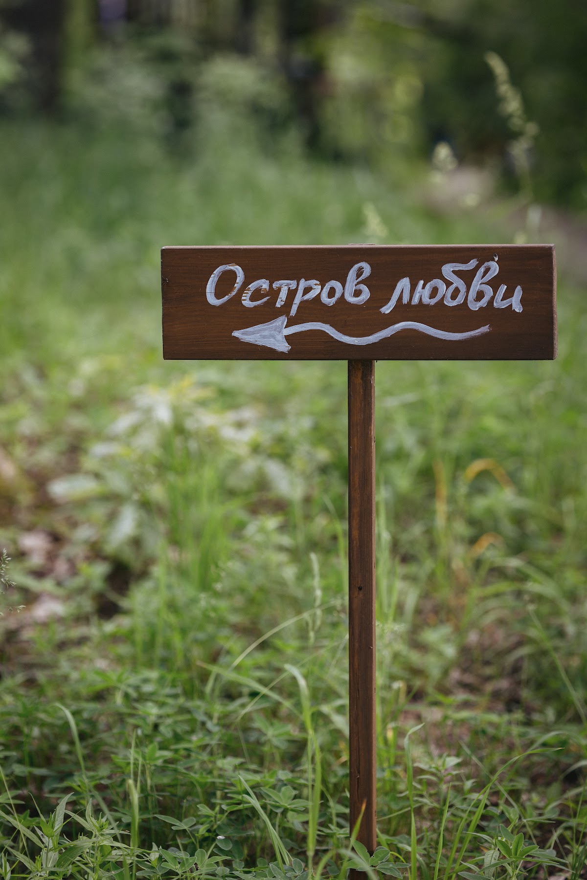 Анастасия и Андрей