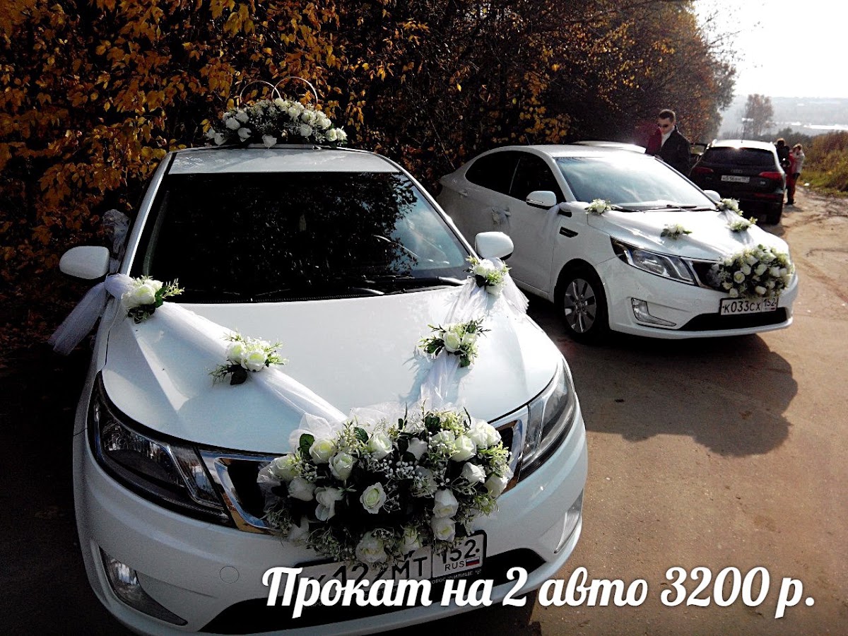 Портфолио