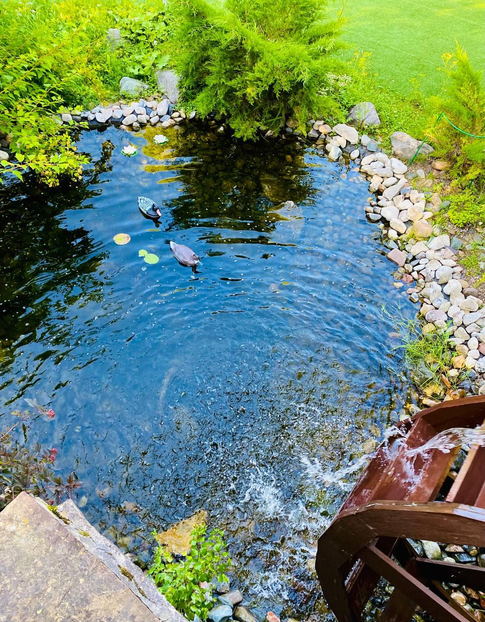 Фотогалерея ресторана