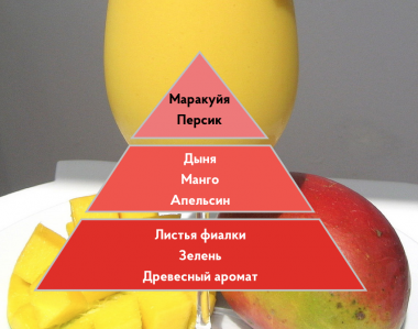 Портфолио