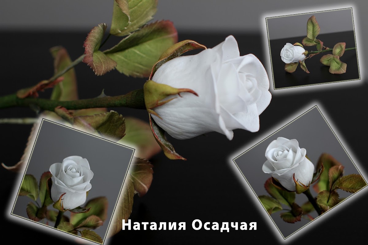 Кадр 34 из 103